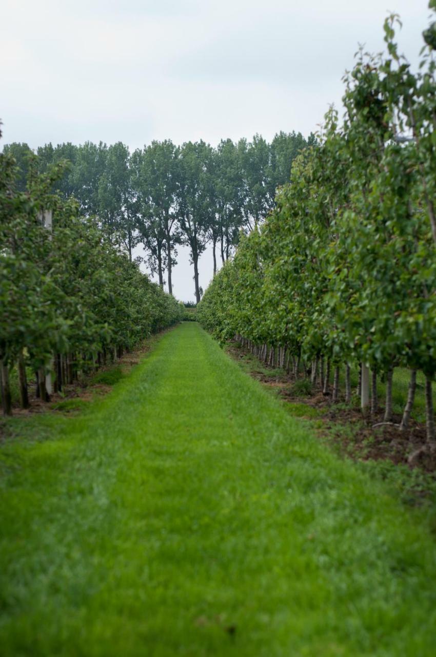 Hoeve Oude Tol Zuidzande Esterno foto